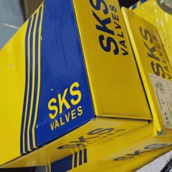 SKS 501 Forged Brass Ball Valve PN 25